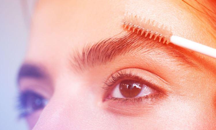 A More Comprehensive Information on Eyebrow Growth Products
